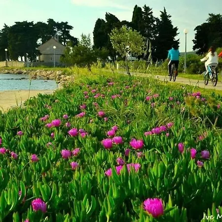 Pleasant In Sveti Filip i Jakov